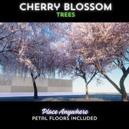 Cherry Blossom Trees