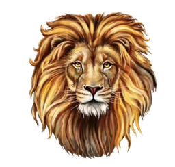 Lion Community Mod