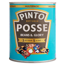 Pinto Posse Beancan Helmet by MinyYamori