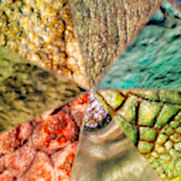 Cavedweller Skin Pack