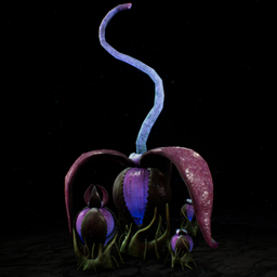 ASE Plant Z Light Range