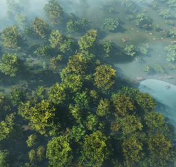 Modder Test Map (The Island)