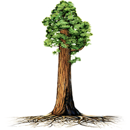 TreeRedwood