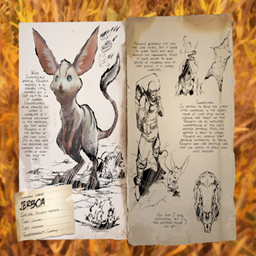 Creature Spawns (Jerboa)