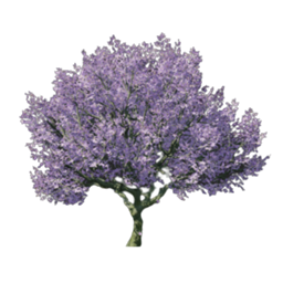 Trees and More Custom Cosmetic Skins