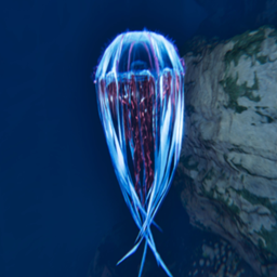 Small Wild Creature Level + Cnidaria color