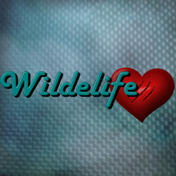 WildeLife Private Server Mod