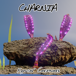 Xyphias' Creatures: Charnia