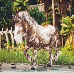 More Equus (Crossplay)