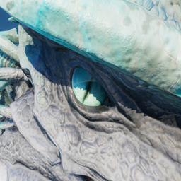 Elders Better Wyverns