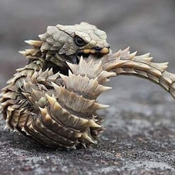 The eternal ouroboros World editor