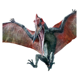 Pteranodon Glider Wings